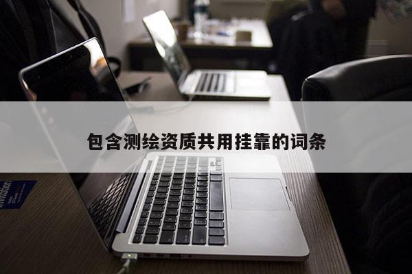 包含測繪資質(zhì)共用掛靠的詞條